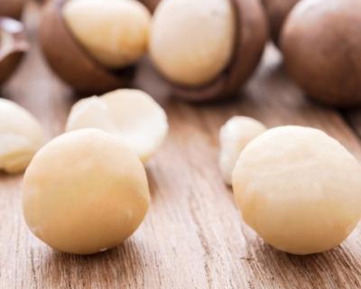 Quả Mắc Ca Là Gì? Quả Mắc Ca Có Tác Dụng Như Thế Nào?